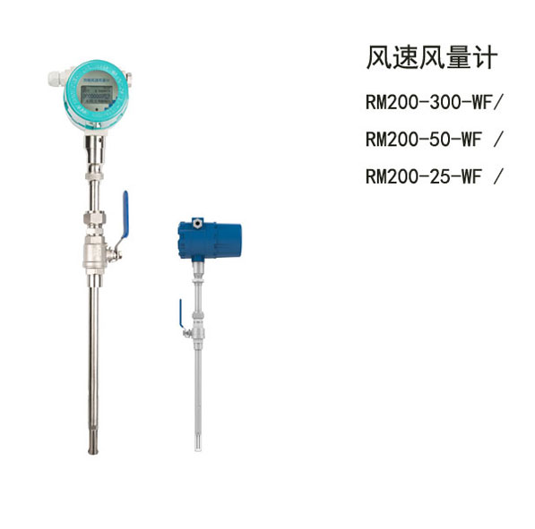 RM200-300-WF/RM200-50-WF/RM200-25-WFL(fng)L(fng)Ӌ